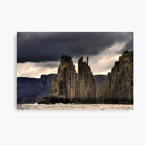 The Monkeys Canvas Print