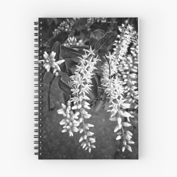 Item preview, Draped White Flowers designed and sold by Rosemary Peek.