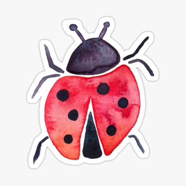 2 X 10cm Rojo Ladybird Pegatinas De Vinilo-Ladybug insecto Diversión Portátil Adhesivo #34980