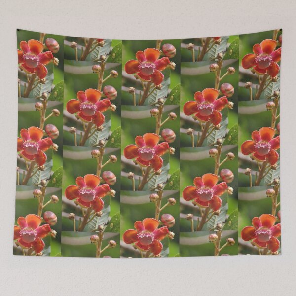 Item preview, Cannonball Tree Flowers and Buds designed and sold by Carole-Anne.