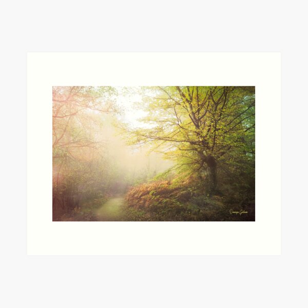 Sur les chemins de Brocéliande Impression artistique
