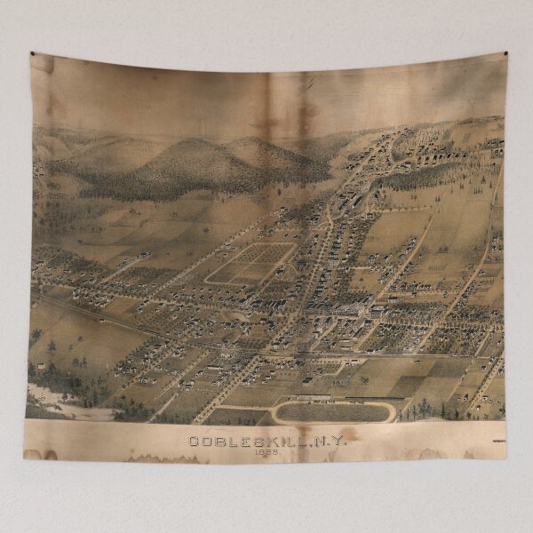 Item preview, Aerial View of Cobleskill, New York (1883) designed and sold by allhistory.