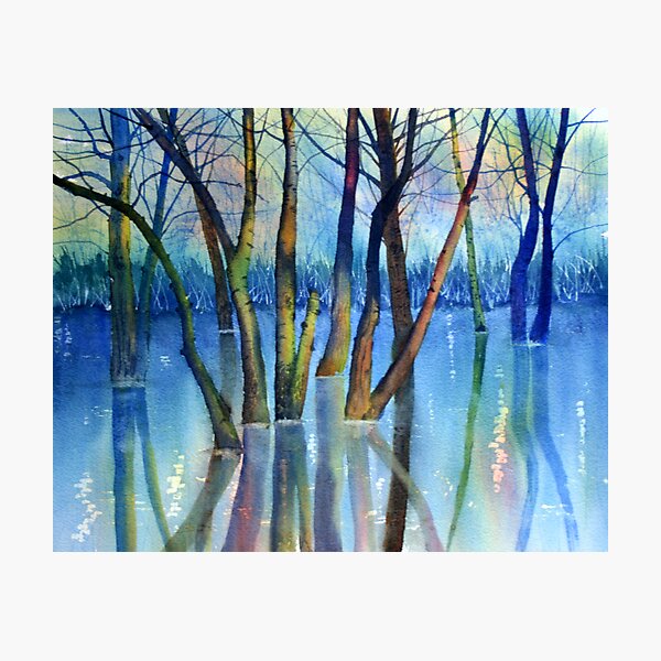 Blue Reflections Photographic Print