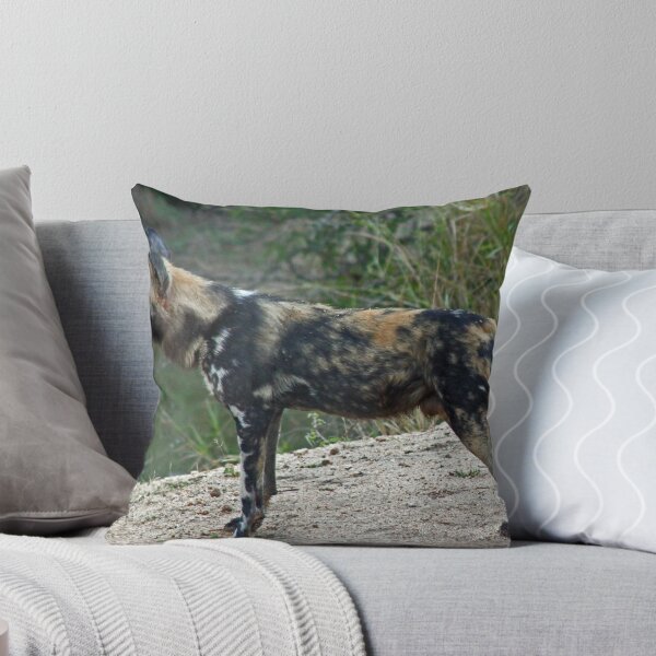 Item preview, African wild dog designed and sold by Anthony Goldman.