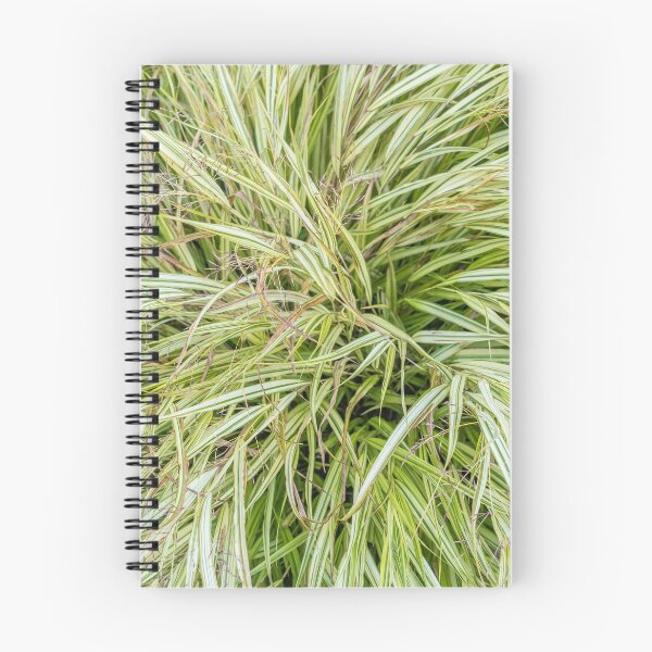 Item preview, Sedge Bush Background designed and sold by georgecolephoto.
