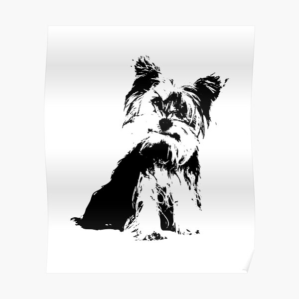 Yorkie Terrier Silhouette Poster