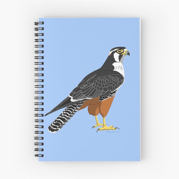 Item preview, Aplomado Falcon (Support The Peregrine Fund) designed and sold by BennuBirdy.