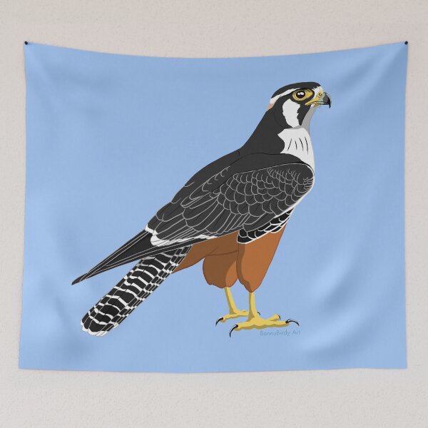Item preview, Aplomado Falcon (Support The Peregrine Fund) designed and sold by BennuBirdy.