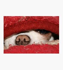 Under Cover Girl Photographic Print