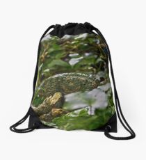Oviraptor Drawstring Bag
