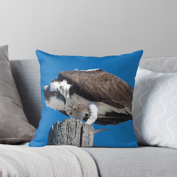 Item preview, having lunch designed and sold by kathy s gillentine.