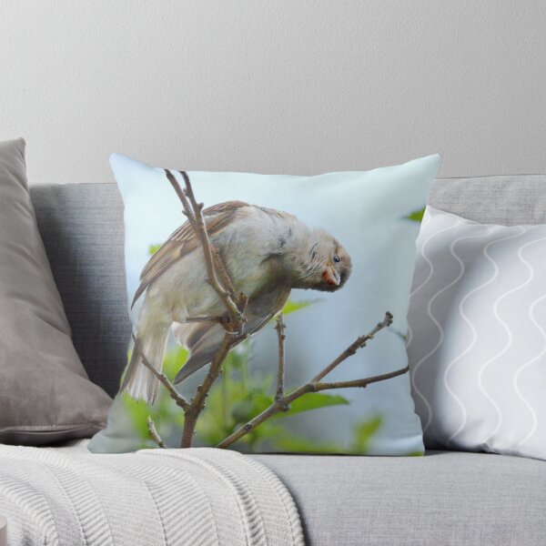 Item preview, Curiosity designed and sold by Laurie Minor.