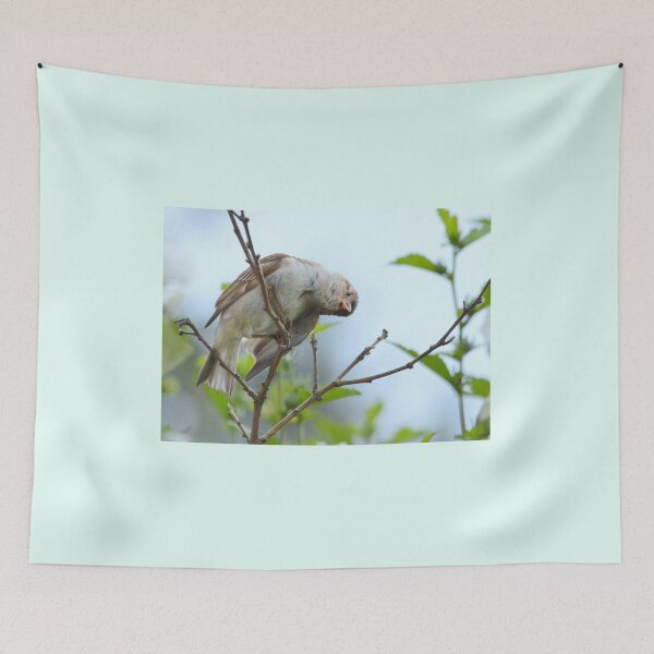 Item preview, Curiosity designed and sold by Laurie Minor.