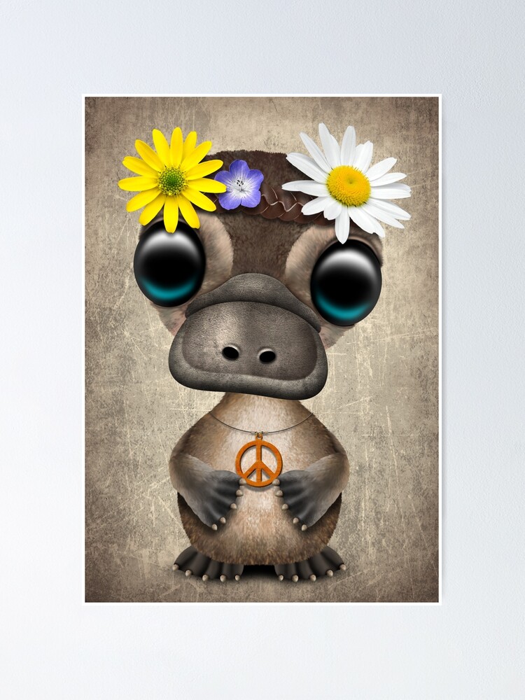 Cute Baby Platypus Hippie Poster By Jeffbartels Redbubble