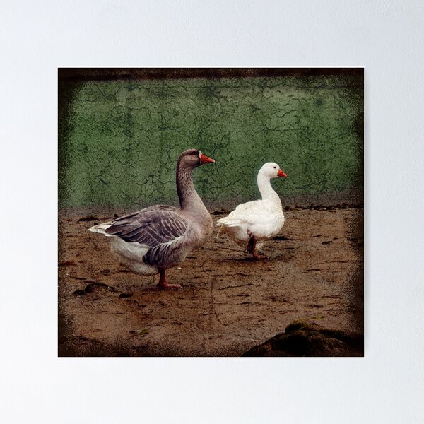 Item preview, Geese. designed and sold by darkvampire.