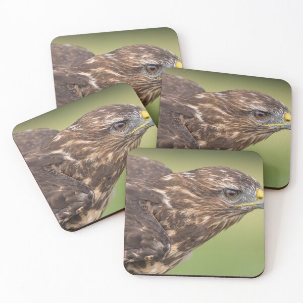 Item preview, Buzzard designed and sold by Nigel R Bell Photography.