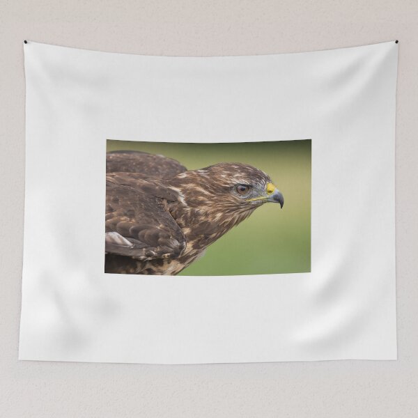 Item preview, Buzzard designed and sold by Nigel R Bell Photography.