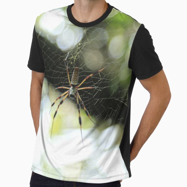 slim fit dress slacks Golden orb-weaver spider – Odds and Insects main image 0