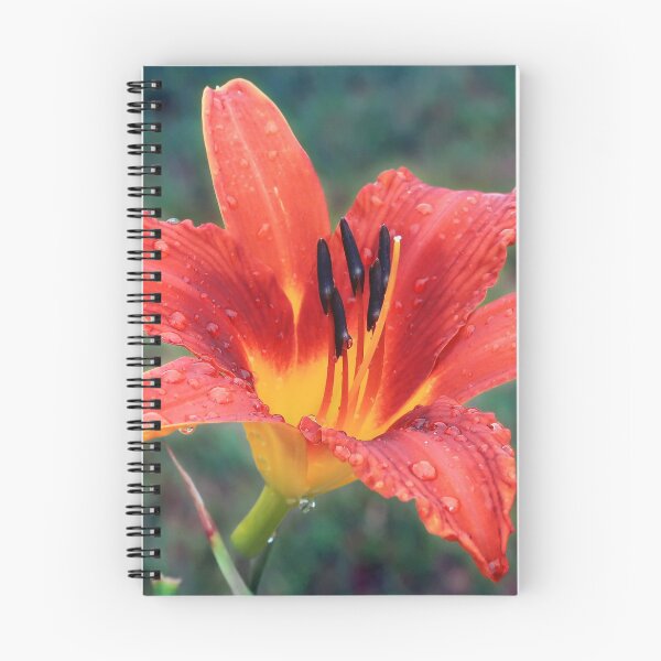 Item preview, Orange Lily designed and sold by StampCity.