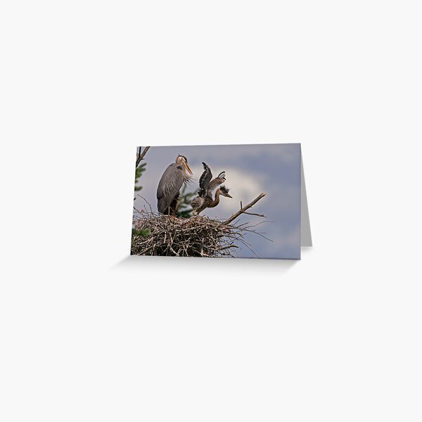 Close to the Edge Greeting Card