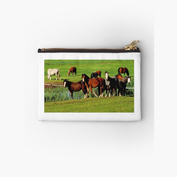 Item preview, Horses are looking at you designed and sold by jchanders.