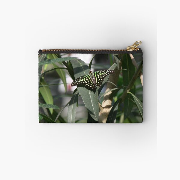 Item preview, Tailed jay butterfly designed and sold by PhotosByHealy.