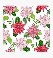 Red and White Winter Poinsettia Flower Pattern Photographic Print