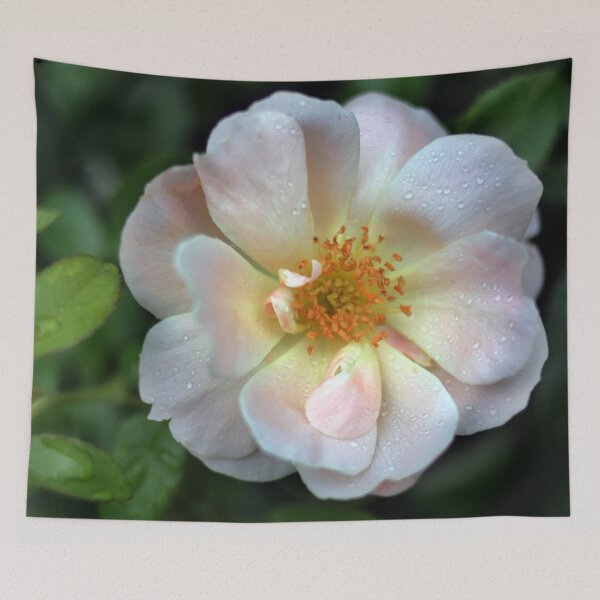 Item preview, Pastel Rose in Bloom designed and sold by StampCity.