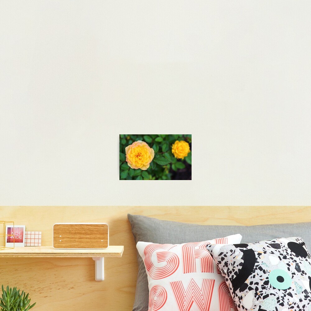 Item preview, Photographic Print designed and sold by StampCity.