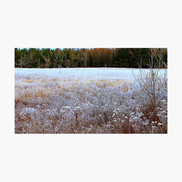 Item preview, Dense frost in pasture designed and sold by Patty Gross.