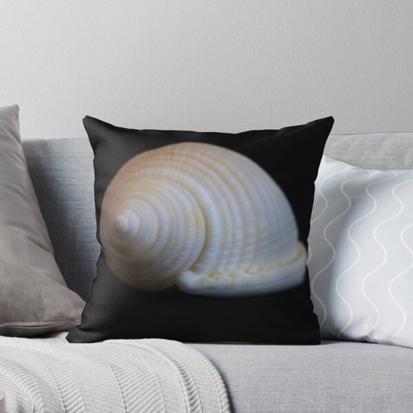 Item preview, Sea Shell on Black V designed and sold by Michiale.