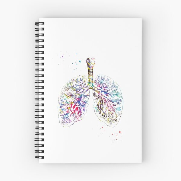 Item preview, Anatomical Lungs,watercolor art designed and sold by Liededrom..