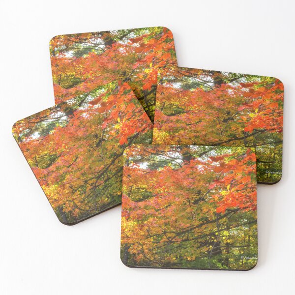 Item preview, Autumn Colours - MacKenzie-King Estate designed and sold by Yannik Hay.