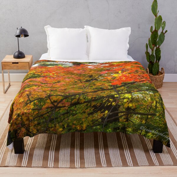 Item preview, Autumn Colours - MacKenzie-King Estate designed and sold by Yannik Hay.