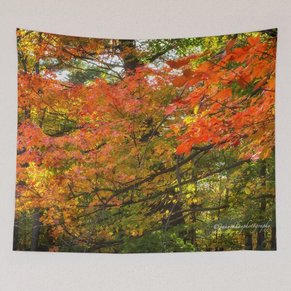 Item preview, Autumn Colours - MacKenzie-King Estate designed and sold by Yannik Hay.