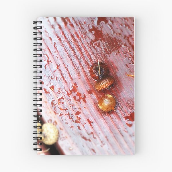 Item preview, It's Raining Acorns designed and sold by Kikkipix.