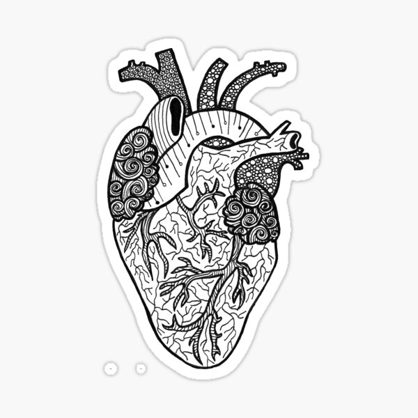 110 Best Anatomical Heart Tattoo Designs  Meanings  2019