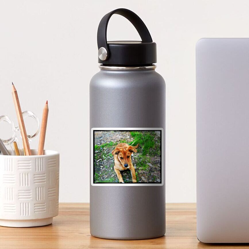 Dogs Sticker