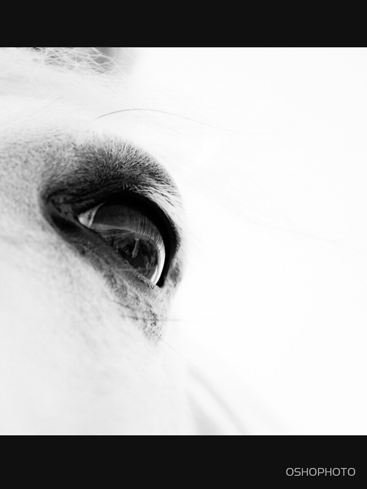 Elysium by OSHOPHOTO