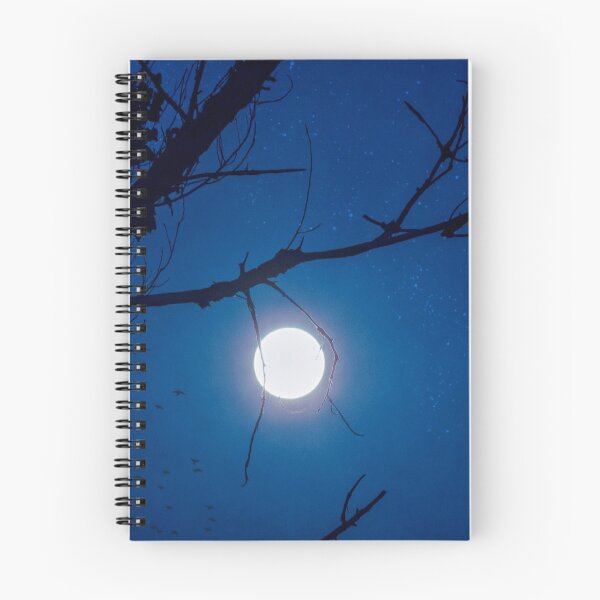 Item preview, Once in a Blue Moon designed and sold by Rhonda Strickland.