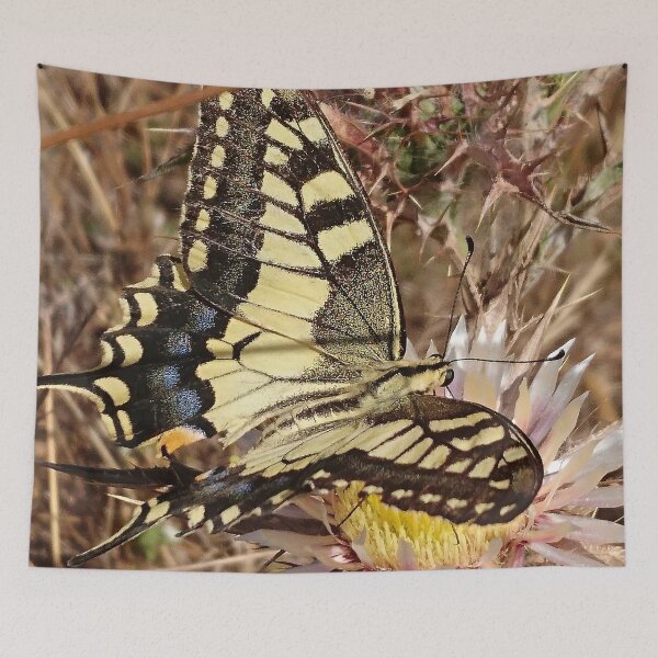 Item preview, Photo Macro shot of a butterfly in Madoniepark on Sicily designed and sold by PM-Artistic.