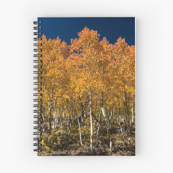 Item preview, Aspens on Fire designed and sold by photosbyflood.