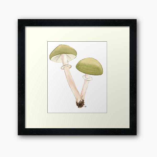 Armillaria sp. by Kay Smith Framed Art Print