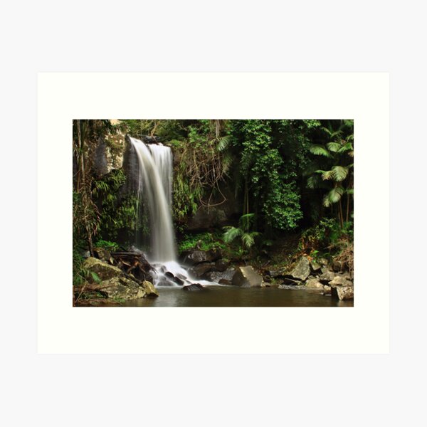 Curtis Falls Art Print