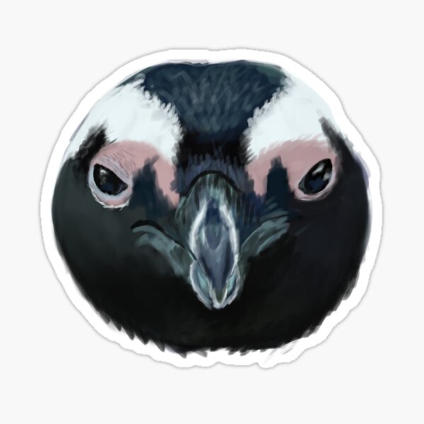 African Penguin Sticker