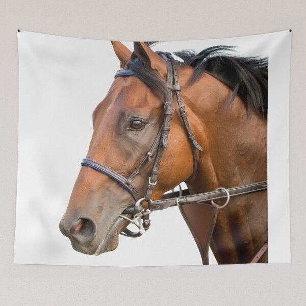 Item preview, American Pharoah - Colour designed and sold by FastTrackPhotog.