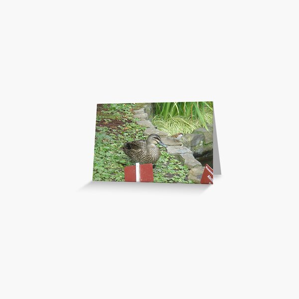 Big Burd Wee burd Greeting Card