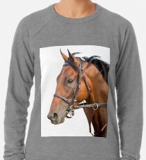 Amerikanischer Pharoah - Farbe Leichtes Sweatshirt