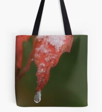 Early Snow Tote Bag
