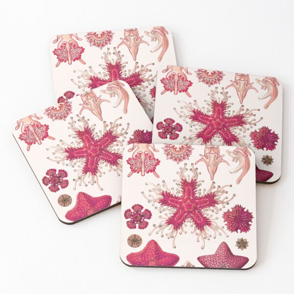 Item preview, Ernst Haeckel - Scientific Illustration - Asteroidea (Red) designed and sold by ShaMiLaB.
